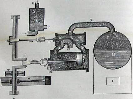 The Sciences by Holden