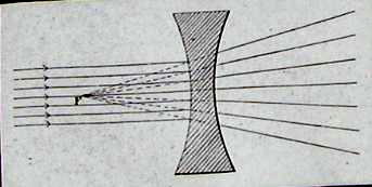 The Sciences by Holden