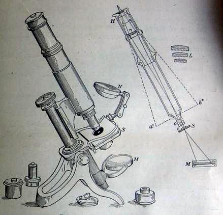 The Sciences by Holden